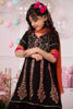 Picture of Festive Anarkali