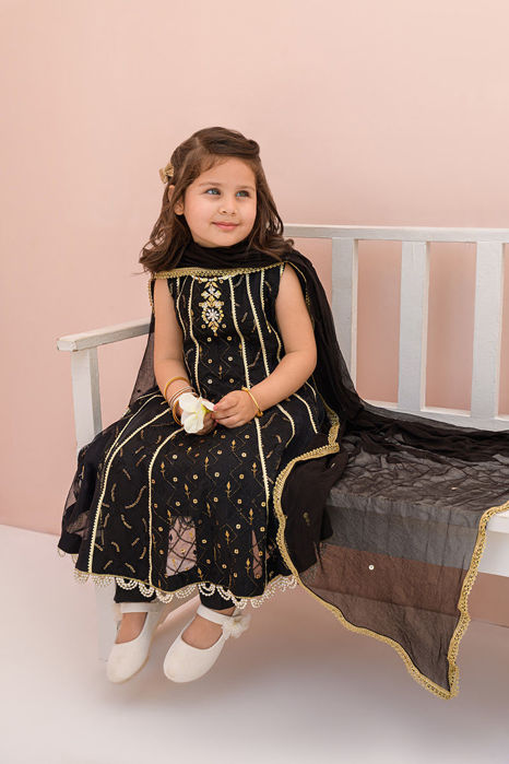 Picture of Mini Raven Black