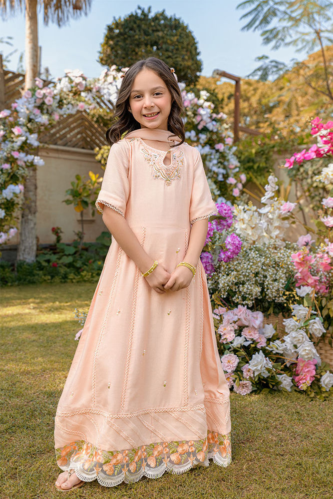 Picture of Mini Peach Pink