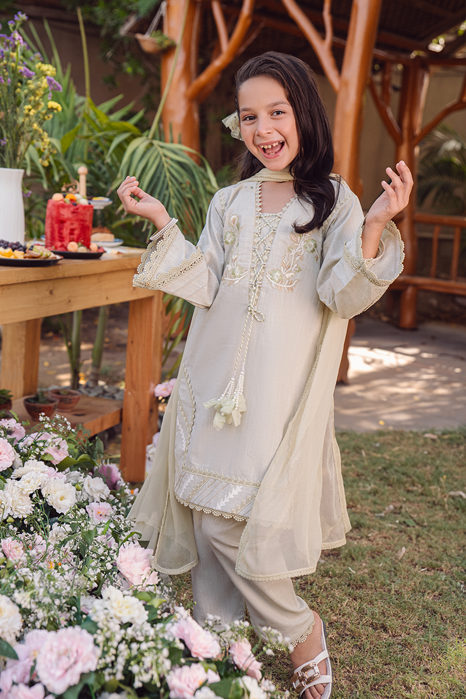 Picture of Mini Sage Irish Green