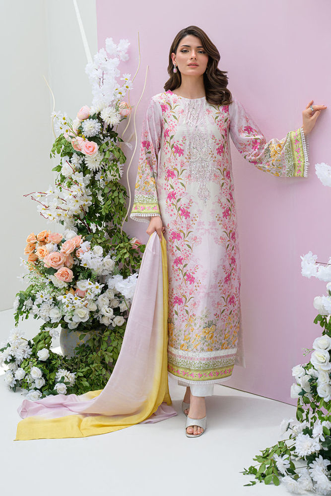 Picture of Rose Reverie - Shirt and Dupatta