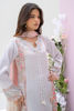 Picture of Oriental Haze - Shirt and Dupatta